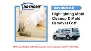 Highlighting Mold Cleanup & Mold Removal Cost
