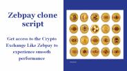 Zebpay clone script