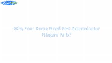 Why Your Home Need Pest Exterminator  Niagara Falls?