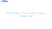 Why Your Home Need Pest Exterminator  Niagara Falls?