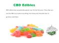 Vegan-Friendly CBD Gummies | Sun State Hemp PowerPoint PPT Presentation