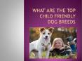 top child Friendly Dog Breeds PowerPoint PPT Presentation