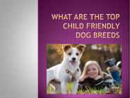 top child Friendly Dog Breeds