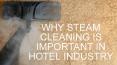 Why steam cleaning is important in Hotel industry PowerPoint PPT Presentation