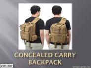 Concealed carry backpack