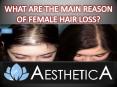 WHAT ARE THE MAIN REASON OF FEMALE HAIR LOSS? PowerPoint PPT Presentation