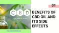 Which is the Best CBD for Relaxation? | Benefits of CBD Oil PowerPoint PPT Presentation