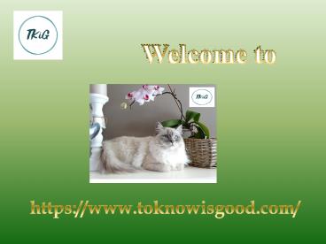 CUTEST AND MOST BEAUTIFUL CAT BREEDS IN THE WORLD-ToKnowIsGood