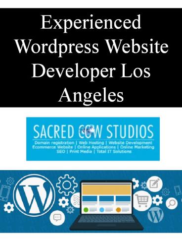 Experienced Wordpress Website Developer Los Angeles