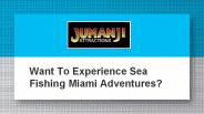 Want To Experience Sea Fishing Miami Adventures?