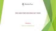 Can dogs eat eggs