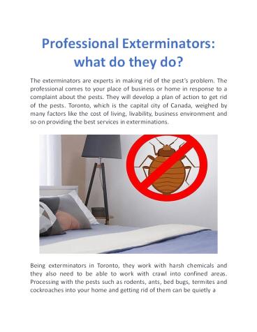 Professional Exterminators: what do they do?