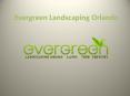 Evergreen Landscaping Orlando PowerPoint PPT Presentation