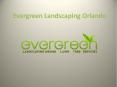 Evergreen Landscaping Orlando (1) PowerPoint PPT Presentation