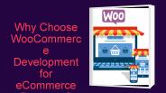 Why Choose WooCommerce Development for eCommerce Business?
