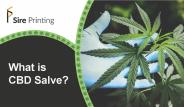 CBD Salve - 1