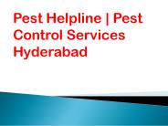 Pest Helpline | Pest Control Services Hyderabad