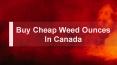 Buy Cheap Weed Ounces In Canada – Carly's Garden