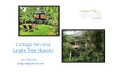 Jungle Tree Houses