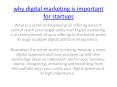 why digital marketing is important for startups PowerPoint PPT Presentation