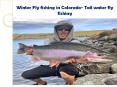 Winter Fly fishing in Colorado- Tail water fly fishing PowerPoint PPT Presentation