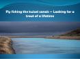 Fly fishing the twizel canals – Looking for a trout of a lifetime PowerPoint PPT Presentation