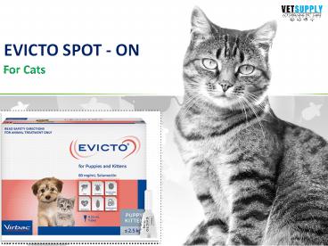EVICTO FOR CATS