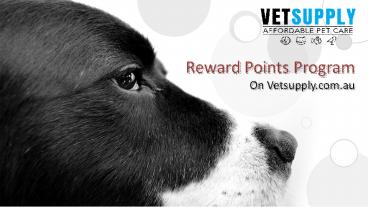 Get Reward Points Every Activity you do on Vetsupply