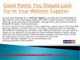 Good Points You Should Look For In Your Website Supplier PowerPoint PPT Presentation