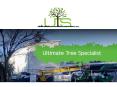 Ultimate Tree Specialist - Tree Services Company in Sydney PowerPoint PPT Presentation
