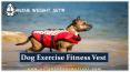 Dog Exercise Fitness Vest- CANINE WEIGHT SET PowerPoint PPT Presentation