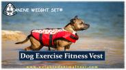 Dog Exercise Fitness Vest- CANINE WEIGHT SET