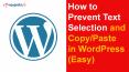 How to Prevent Text Selection and Copy/Paste in WordPress (Easy) PowerPoint PPT Presentation