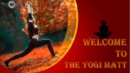 The Yogi Matt