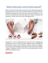 What makes pest control service special?