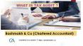 What is Tax Audit & What role a Chartered Accountant plays in that? PowerPoint PPT Presentation