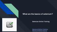 What are the basics of selenium?