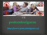 Edmonton Exterminators