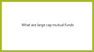 What are Large Cap Mutual Funds?