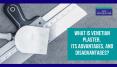 What Is Venetian Plaster, Its Advantages, and Disadvantages? PowerPoint PPT Presentation