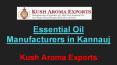 Essential Oil Manufacturers in Kannauj- Kush Aroma Exports PowerPoint PPT Presentation