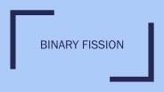 Binary Fission