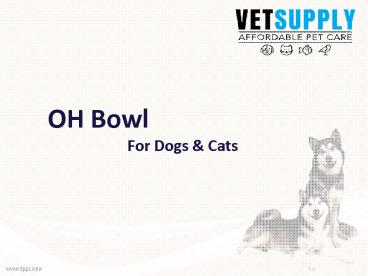 OH bowl For Dogs & Cats - Vetsupply