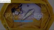 Sanitize Your Purse With Pure Gem