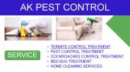 Pest Control Services in Kharar