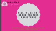Give the Gift of Orgonites this Christmas!