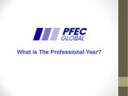 What is the professional year?