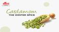 Cardamom- The Winter Spice | Vasant Masala PowerPoint PPT Presentation