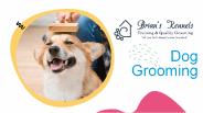 Dog Grooming Quincy - Brian's Kennels