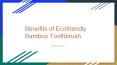 Benefits of Ecofriendly bamboo toothbrush PowerPoint PPT Presentation